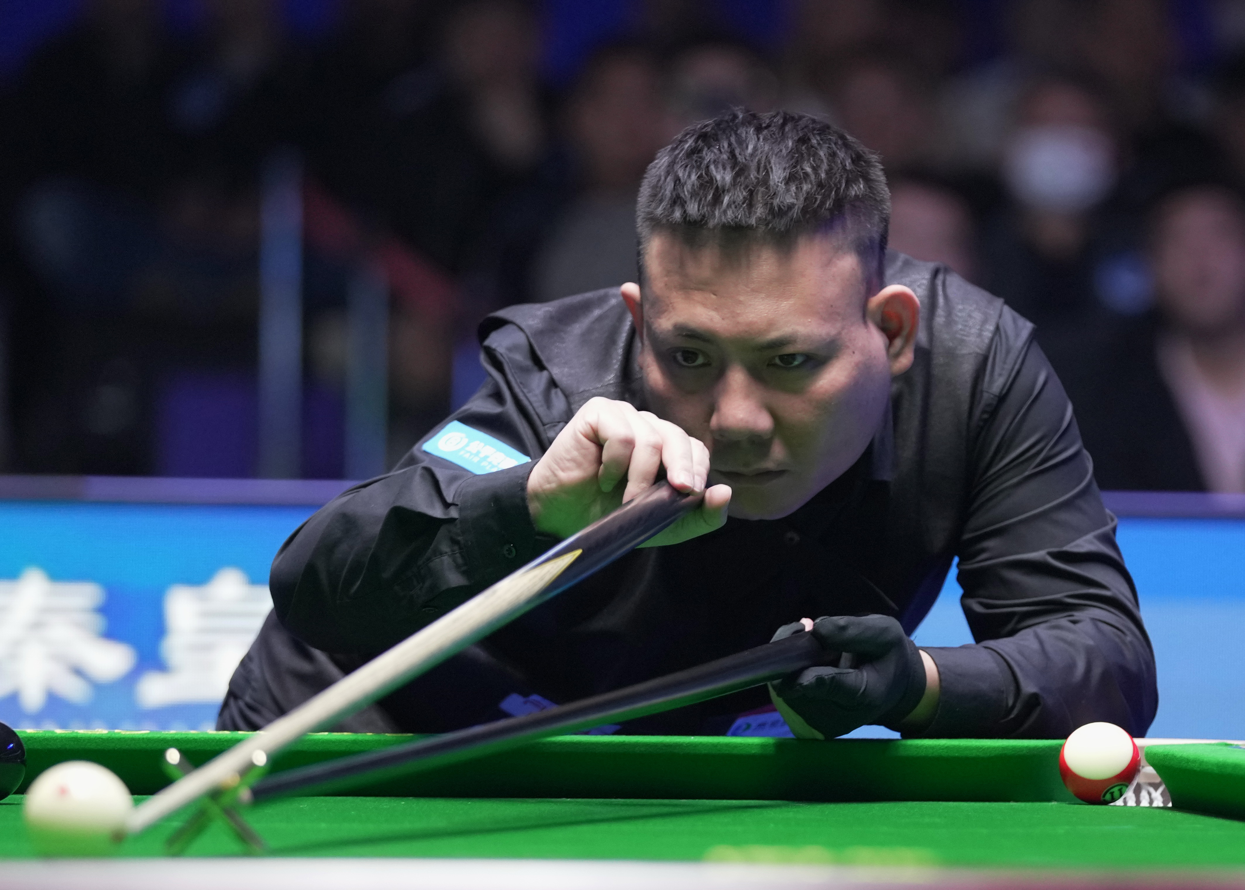 投向星海 投向星海